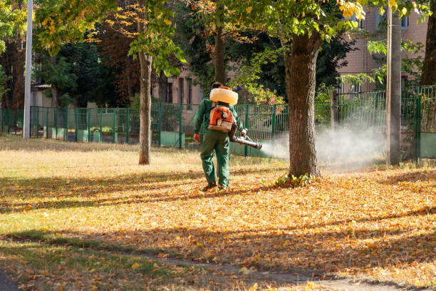 Best Pest Removal Services  in Tecumseh, NE